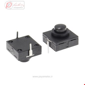 کلید چراغ قوه پلیسی 2 پایه مربعی