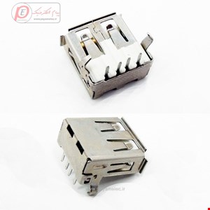 جک USB رایت رو بردی 14mm